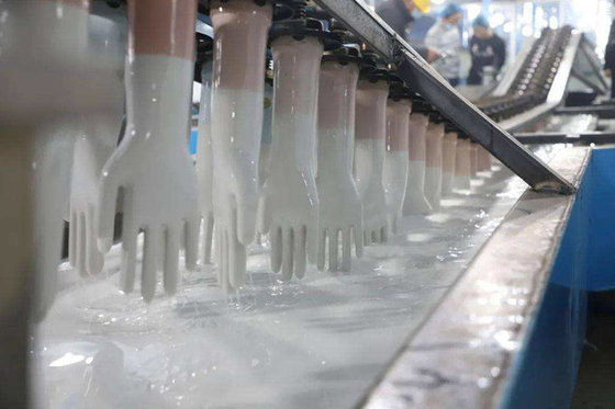 Pequeñas máquinas de la máquina de los guantes del nitrilo para la cadena de producción de los guantes guantes médicos