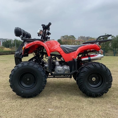 Atv con tracción a cuatro ruedas Beach Buggy 4x4 1000cc