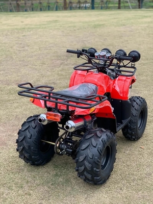 Atv con tracción a cuatro ruedas Beach Buggy 4x4 1000cc