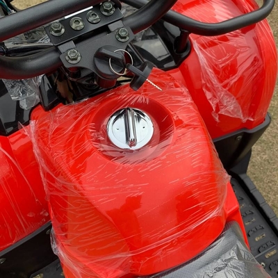 Atv con tracción a cuatro ruedas Beach Buggy 4x4 1000cc