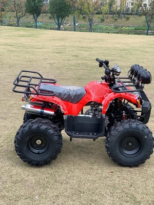 Atv con tracción a cuatro ruedas Beach Buggy 4x4 1000cc