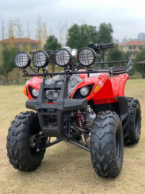 Atv con tracción a cuatro ruedas Beach Buggy 4x4 1000cc